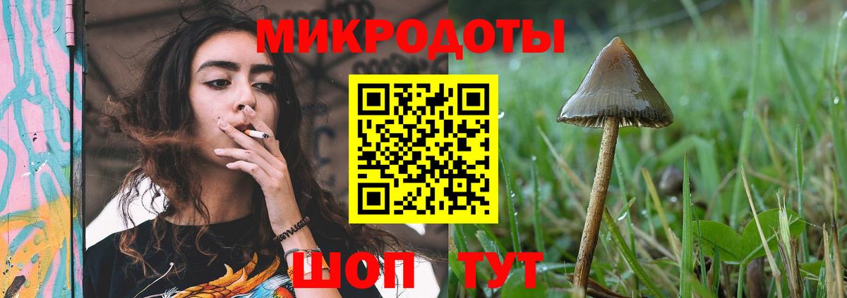 Псилоцибиновые грибы Cubensis Тосно